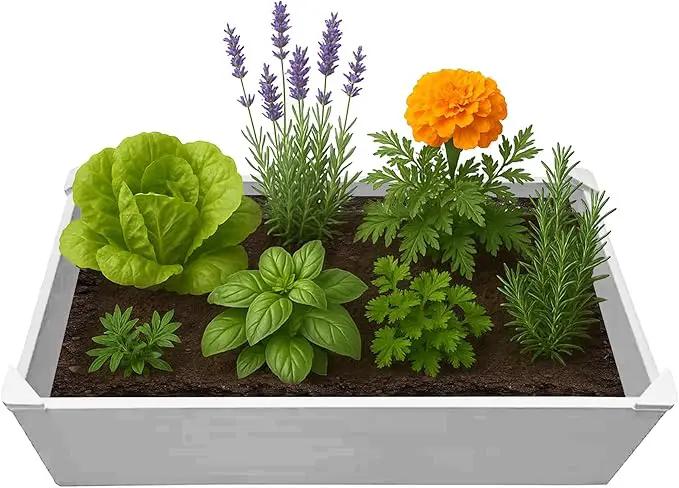 Raised Garden Bed - 2x4 ft Planter Box - White HDPE - No Tools Needed - DIY Kit for Urban Gardening, Flowers, Herbs & Vegetables - Made in The USA by GreenHaven Gardens