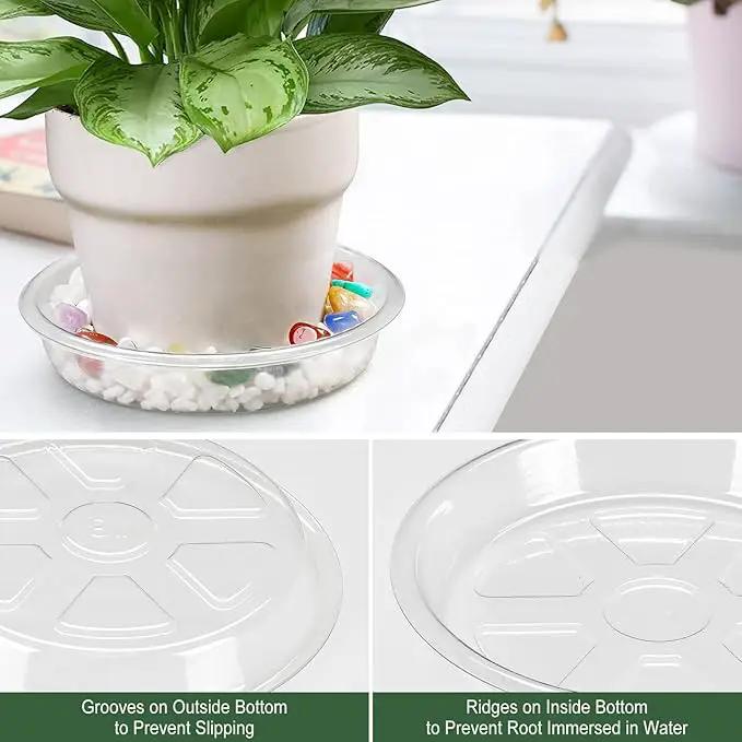 BORPEIN Plant Saucer (6,8,10,12inch, 24 Pack) Clear Plastic Plant Trays for Pots Indoors Outdoors, Thicker Flower Pot Saucers, Plant Plate to Catch Water by GreenHaven Gardens