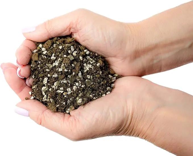 African Violets and Gesneriad Premium Soil Mix - Horticultural Perlite (25%) + Vermiculite (25%) + Sphagnum Peat Moss (50%) - Made in USA - (2 Quart Bag) by GreenHaven Gardens