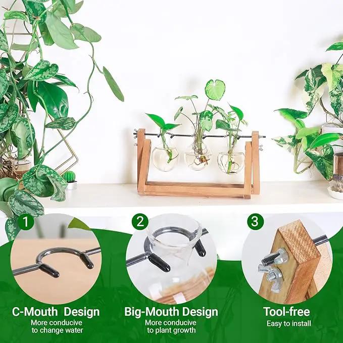 Ivolador I Plant Propagation Station, Bulb Plant Terrarium with Wooden Stand, Unique Gardening Gifts for Women, Hydroponic Indoor Planter, Home Office Garden Wedding Decor - 3 Bulb Glass Vases by GreenHaven Gardens