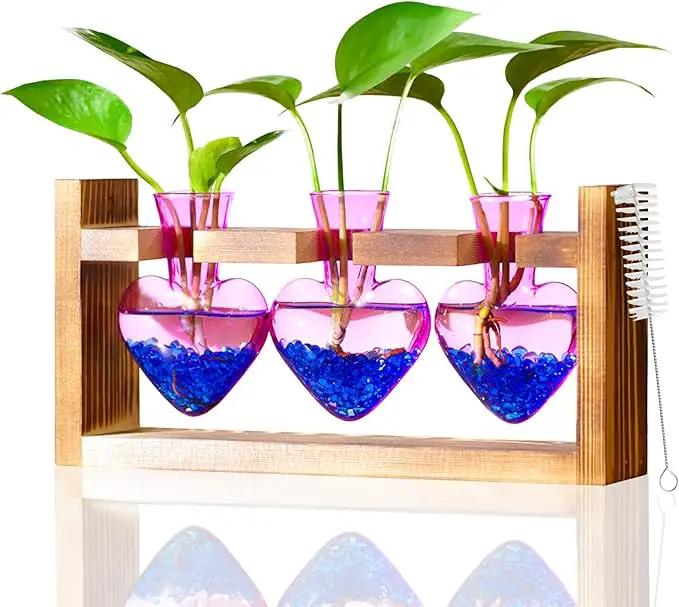 Nacome Plant Terrarium for Office Decor: Birthday Gifts for Plant Lovers Women Mom Wife - Wooden Stand Tabletop Planter 3 Bulb Glass Vase Heart Shaped for Hydroponics Indoor Home(Purple) by GreenHaven Gardens