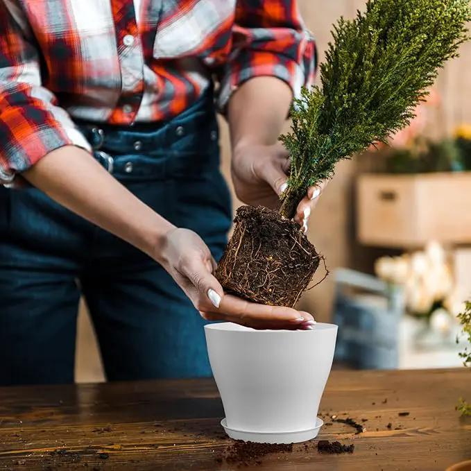 6 inch Plastic Nursery Pots, 16 Pack Plant Pots for Small Indoor Outdoor Plants, Flower Pots with Drainage Holes and Saucers, Decorative Seedling Starter Planters for House Plants, White by GreenHaven Gardens