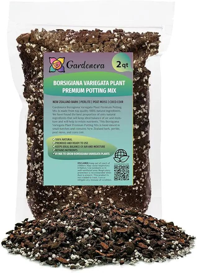 Monstera Borsigiana Soil Mix - Expertly Formulated for Strong Root Development - 2 Quart by GreenHaven Gardens