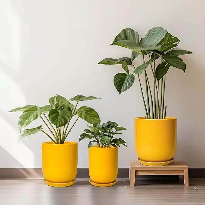 Ceramic Pot for Plants - 10 Inch Plant Pot Indoor with Drainage Hole and Saucer Large Planter for Outdoor Plants Cylinder Decorative Flower Pot Yellow by GreenHaven Gardens
