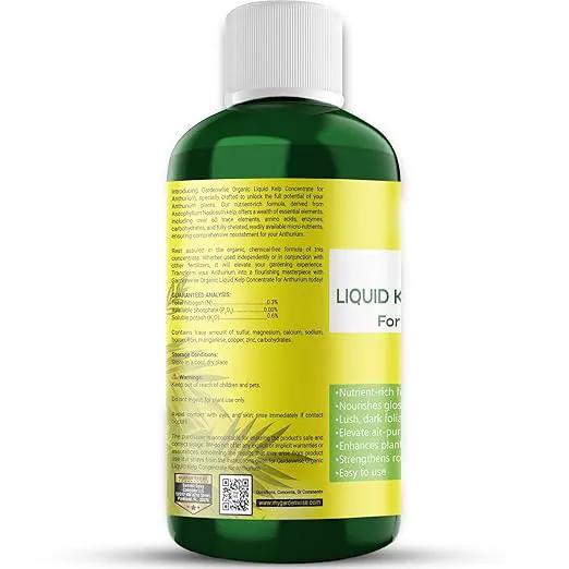 Organic Premium Seaweed Anthurium Fertilizer - Liquid Kelp Plant Food - Nutrient-Rich Soil Enhancer (16 OZ) by GreenHaven Gardens