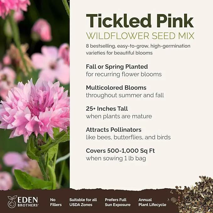 Eden Brothers Tickled Pink Flower Mixed Seeds for Planting, 1 lb, 480,000+ Seeds with Cosmos, Cornflower, Zinnia | Attracts Pollinators, Plant in Spring or Fall, Zones 3, 4, 5, 6, 7, 8, 9, 10 by GreenHaven Gardens
