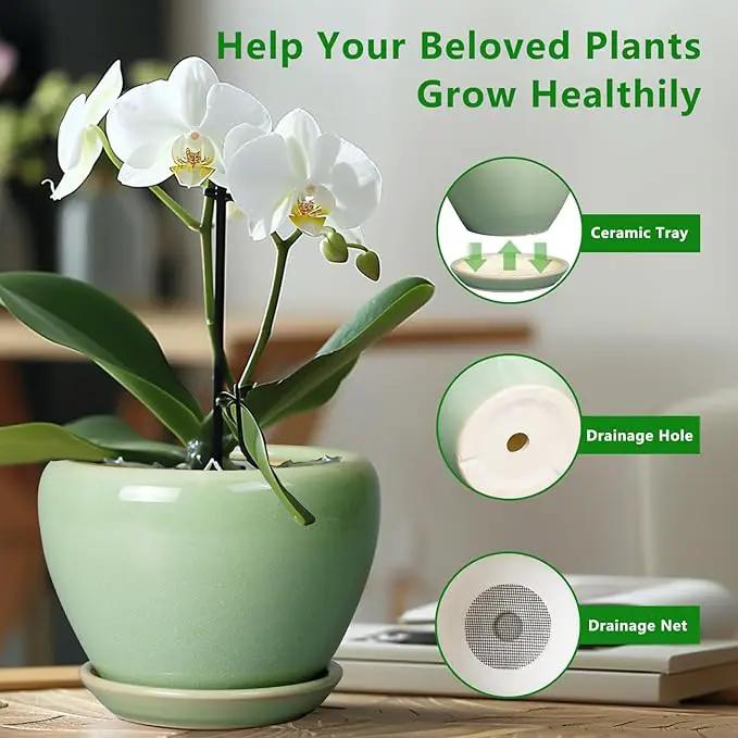 Ceramic Planter Pot - 10 Inch Plant Pot for Indoor Plants Decorative Planter with Drainage Hole and Saucer Large Pot for Plants Outdoor Round Flower Pot for Garden Green by GreenHaven Gardens