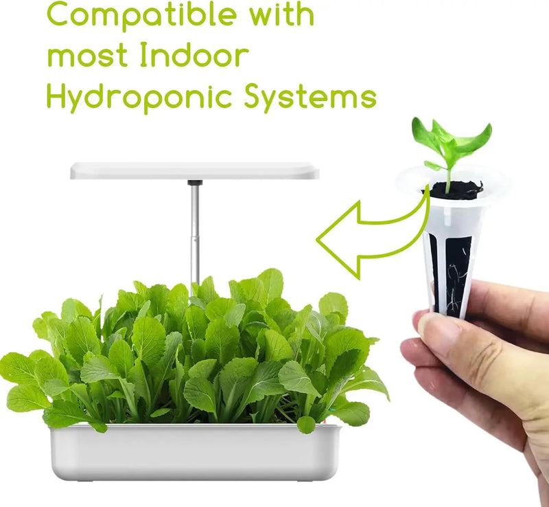 Hydroponic Grow Sponges Replacement Root Growth Seed Starter Pods for Indoor Garden Systems, Fit for Aerogarden and More, 50 Pack by GreenHaven Gardens