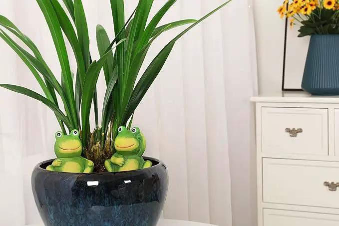 4-Pack Frog Plant Watering Globes Decorative Self Watering Spikes Planter Insert Terracotta Plant Watering Devices Automatic Plant Waterer for Indoor Outdoor Plants by GreenHaven Gardens