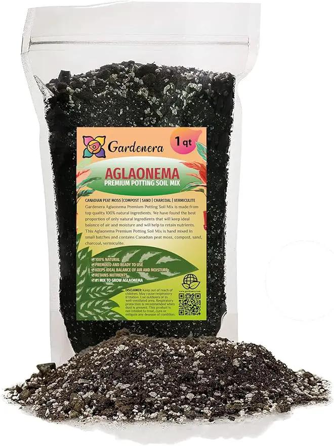 Premium Aglaonema Plant Potting Mix - Crafted for Healthy Growth and Radiant Foliage - 1 Quart, MAIN-AGLAONEMA-1QT by GreenHaven Gardens