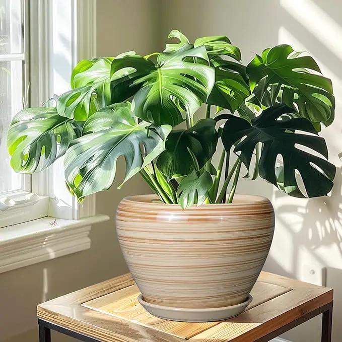 Ceramic Pot for Plant 10 Inch - Planter for Outdoor Plants Indoor Plant Pot with Drainage Hole Large Planter Round Flower Pot for House Patio Garden Yellow by GreenHaven Gardens