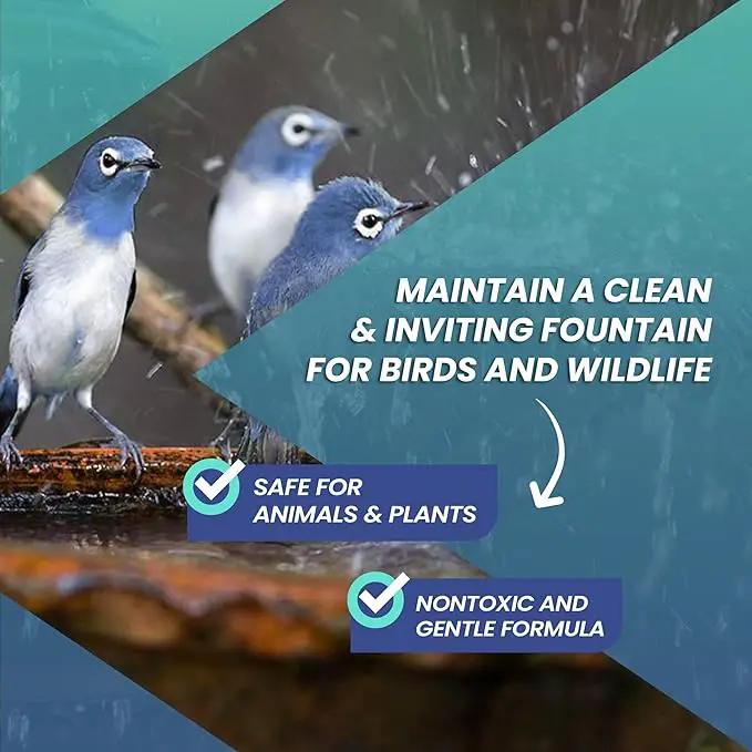 16oz Water Fountain Cleaner - Cleans 80 Gallons of Water, Bird Bath Cleaner Safe for Birds and Wildlife, Ideal for Indoor & Outdoor Use - Prevents Dirt Build-Up and Clog, Safe for Stone, Metal & More by GreenHaven Gardens