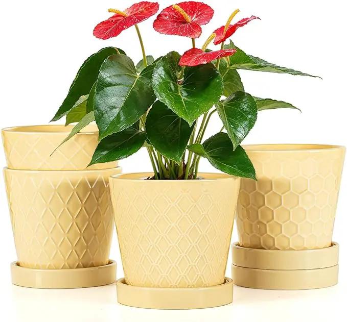 Ceramic Plant Pots –5 inch Indoor Flower Pot with Drainage Hole and Ceramic Tray - Gardening Home Desktop Office Windowsill Decoration Gift, Set of 4-Plants NOT Included(Yellow) by GreenHaven Gardens