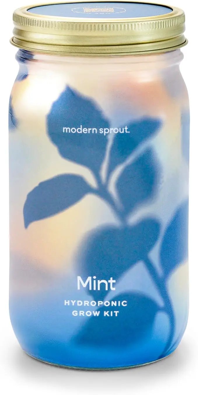 Modern Sprout Mason Garden Jar - Self-Watering Hydroponics Growing System Kit with Organic Herb Seeds - Jar Planter for Indoor Herb Garden - Seed Starter Kit - Home Decor & Gifting - Mint by GreenHaven Gardens