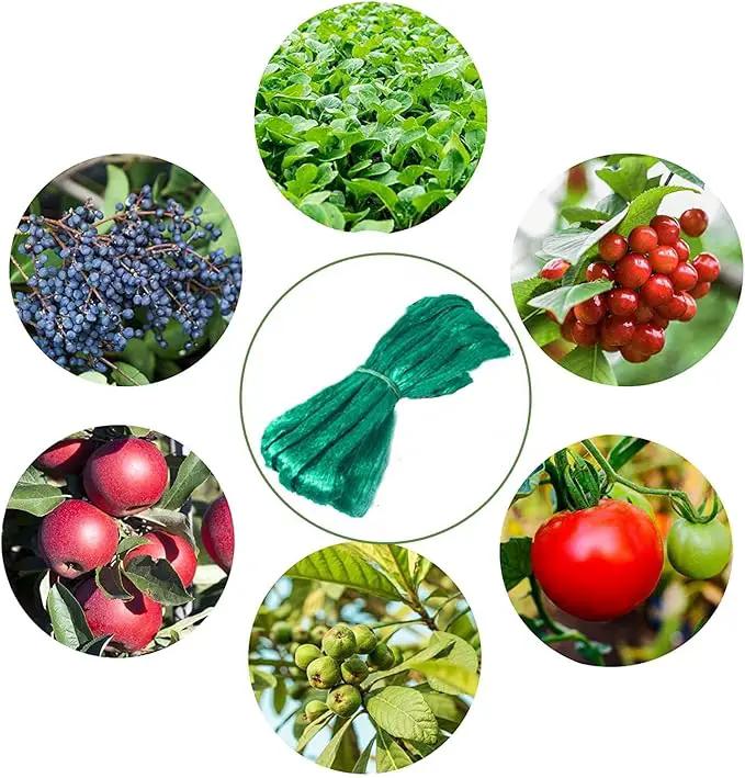 CandyHome 13Ft x 33Ft Anti Bird Protection Mesh Garden Netting Seedlings Plants Flowers Fruit Trees Vegetables from Rodents Deer Reusable Fencing, Green by GreenHaven Gardens