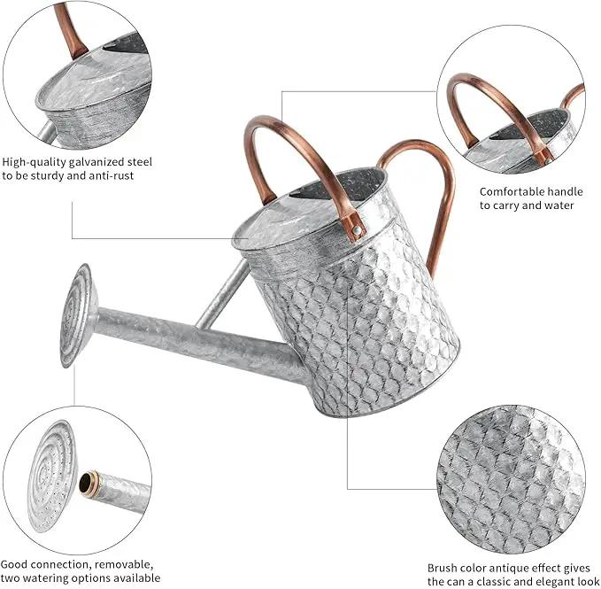 1 Gallon Metal Watering Can for Outdoor Indoor Plants, Galvanized Watering Can with Removable Spray Spout, Ideal for Garden Watering by GreenHaven Gardens