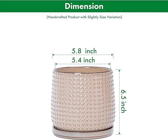 D'vine Dev 6 Inch Ceramic Beaded Stoneware Planter Pot - Flower Pot with Drainage Holes and Saucers for Indoor Succulent Plants or Flowers, Light Brown, 27-C-X-4 by GreenHaven Gardens