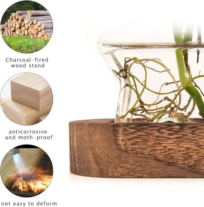 XXXFLOWER Plant Propagation Station with Wooden Stand，Air Plant Terrarium Starter Kits Star Vases for Flowers Plant Cutting Rooting Pots Indoor Hydroponic Glass Planter for Plant Lovers,3 Jars by GreenHaven Gardens