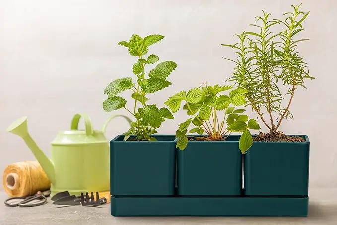 D'vine Dev Herb Garden Planter Set, Plastic Plant Pots with Drainage and Saucer, Indoor Succulent Cactus Vegetable Pot for Windowsill, Garden Balcony, Green, Set of 1, 76-V-C-1 by GreenHaven Gardens