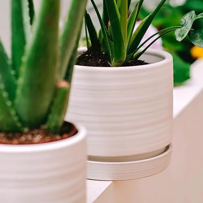 6 + 8 Inch Plant Pots, Ceramic Planter Pot with Drainage Hole & Saucer, Indoor/Outdoor Cylinder Round Planter Pot, Matte White by GreenHaven Gardens