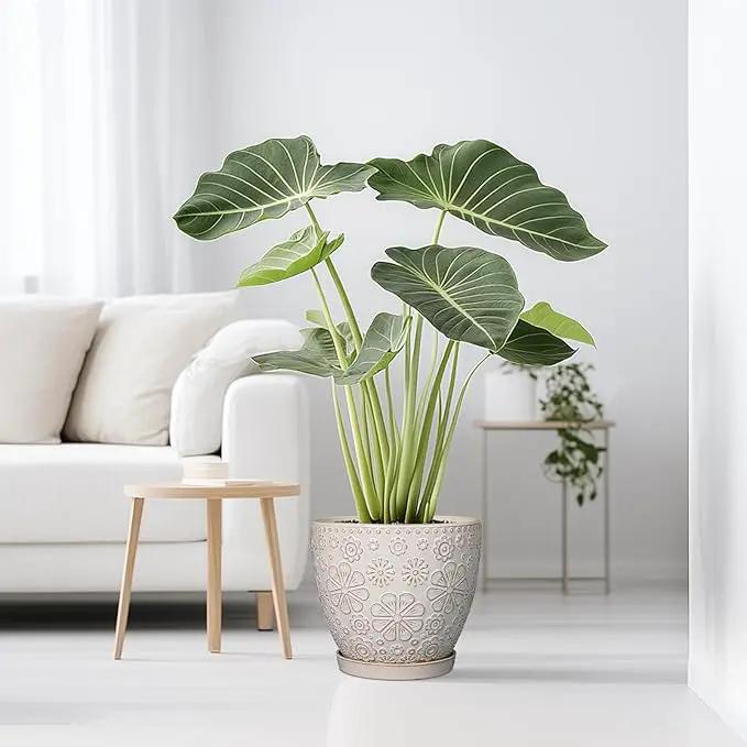 10 Inch Ceramic Planter Pot Large Plant Pot for Indoor Plants Outdoor Round Flower Pot with Drainage Hole and Saucer for Home Garden Decor White by GreenHaven Gardens