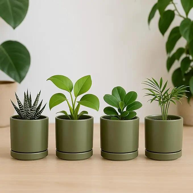 D'vine Dev Set of 4 Small Ceramic Plant Pots, 3.5 Inch Succulent Planter Pot for Plants with Drainage Hole and Saucer, Olive, 94-X-A-0 by GreenHaven Gardens