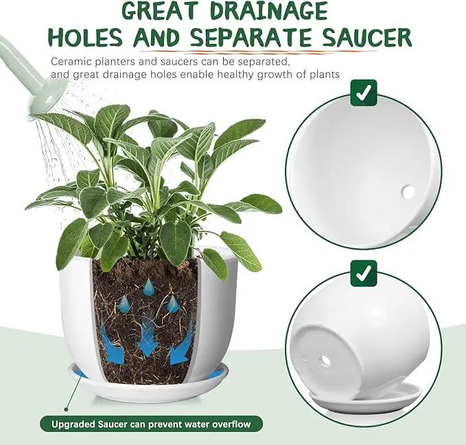 8 Inch Ceramic Planter, Plant Pots with Drainage Hole and Separable Saucer,Indoor-Outdoor Round Succulent Orchid Flower Pot,Indoor pots for Plants(Smooth White,Plant Pot only) by GreenHaven Gardens