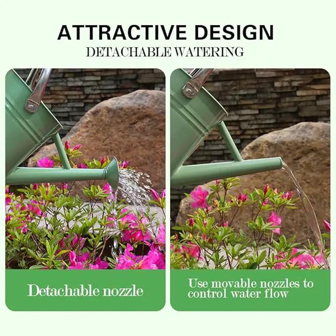 Metal Watering Can, One Gallon Watering Cans Stainless Steel for Outdoor Indoor Garden Plants Watering (Cream Green) by GreenHaven Gardens