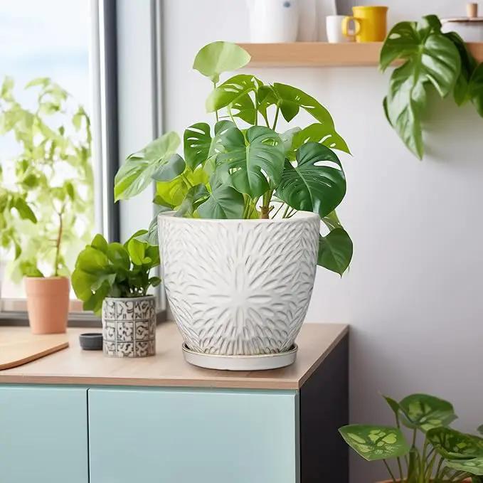 G EPGardening 8 Inch Ceramic Plant Pot with Drainage Hole and Saucer Round Planter Pot for Indoor Outdoor Plants Modern Large Flower Pot White by GreenHaven Gardens