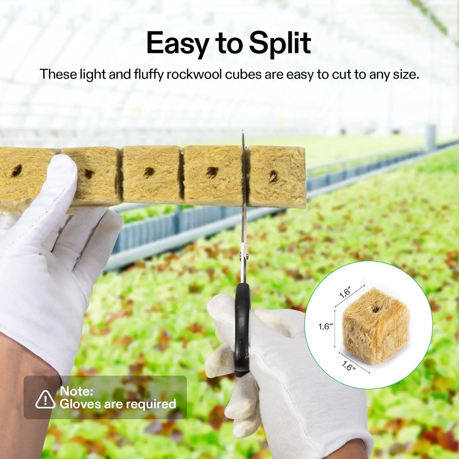 VIVOSUN 1.6" Rockwool Cubes, 112 Plugs Stonewool Starter Grow Cubes for Cuttings, Cloning, Plant Propagation, Seed Starting, Hydroponic Grow Media for Vigorous Plant Growth, 4 Sheets of 112 Plugs by GreenHaven Gardens
