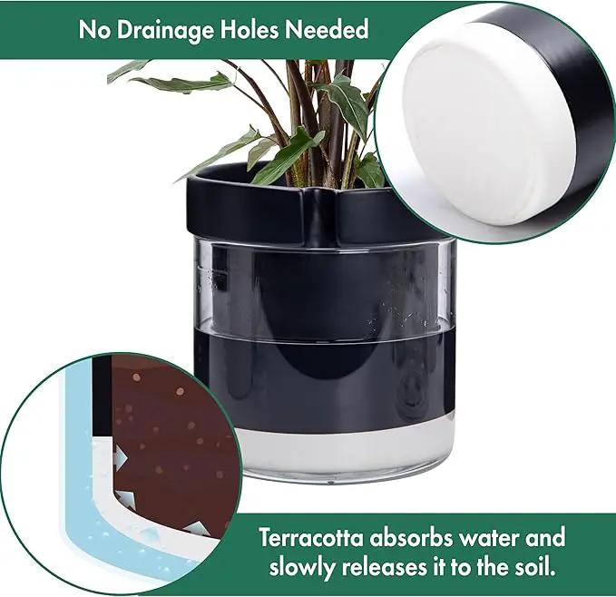 Phoenix Vine 8 Inch Self Watering Terracotta Planter, Black Terracotta Clay Pot with Glass Reservoir for Indoor Plants, Herbs, Flowers, Set of 1, 52-C-H-1 by GreenHaven Gardens