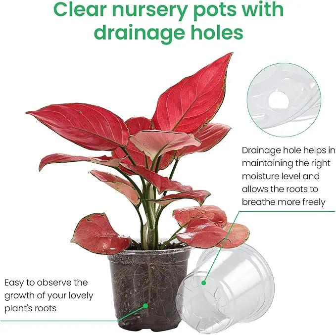 36 Packs 6.7/5/4/3.5 Inch Reinforced Clear Nursery Pots with Drainage Hole, Transparent Variety Pack Plastic Plant Pot Seedling Planter Seed Starter Flower by GreenHaven Gardens