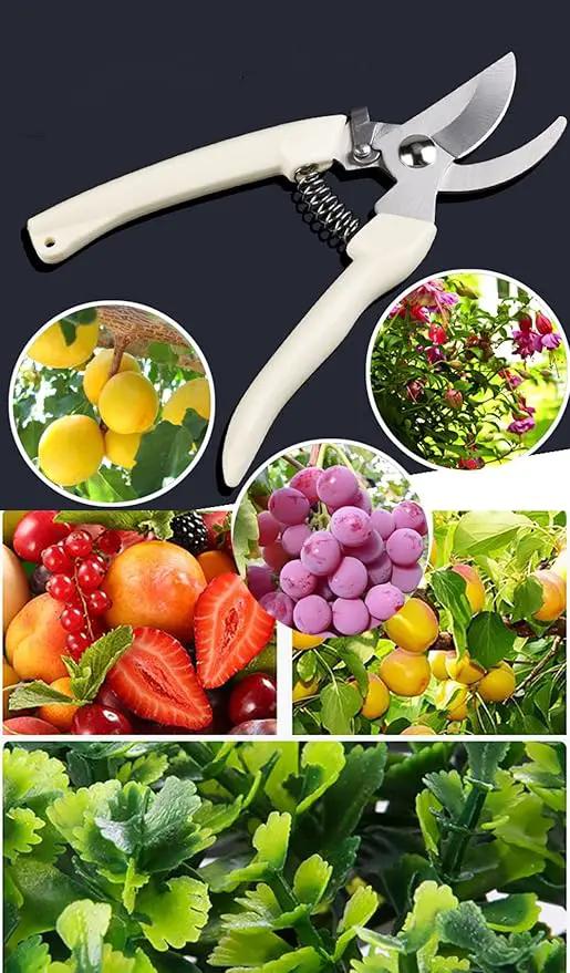 Garden Flower Shears Pruning Shears 6.9 inches Scissors Heavy Duty Plant Scissors for Cutting Flowers, Trimming Plants, Bonsai, Fruits Picking (White Handle) by GreenHaven Gardens