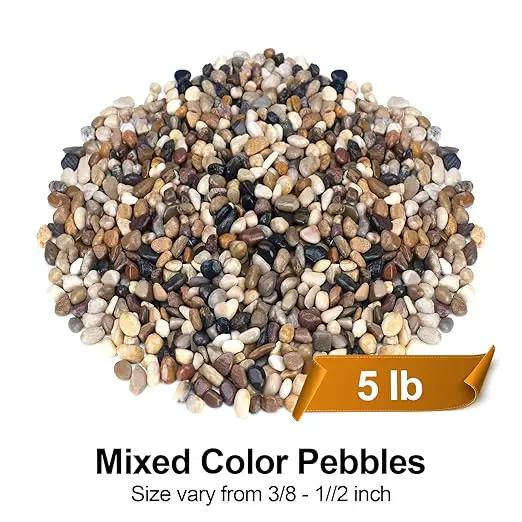 5 lbs Pebbles for Indoor Plants, Succulent, Bamboo, Vase, 3/8" Plant Rocks for Pots Indoor, Small River Rocks Decorative Pea Gravel, Highly Polished by GreenHaven Gardens
