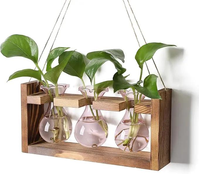 Plant Propagation Station Plant Terrarium Unique Birthday Gifts for Women Plant Lovers Home Office Decor Planter with Wooden Stand - 3 Bulb Glass Vase by GreenHaven Gardens