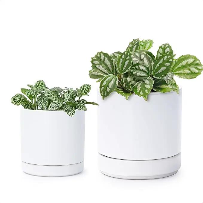 D'vine Dev 3.5 Inch & 4.7 Inch Ceramic Planter Pots for Plants with Drainage Hole and Saucer, X-Small Plant Pots Set, White, 94-G-XS-1 by GreenHaven Gardens