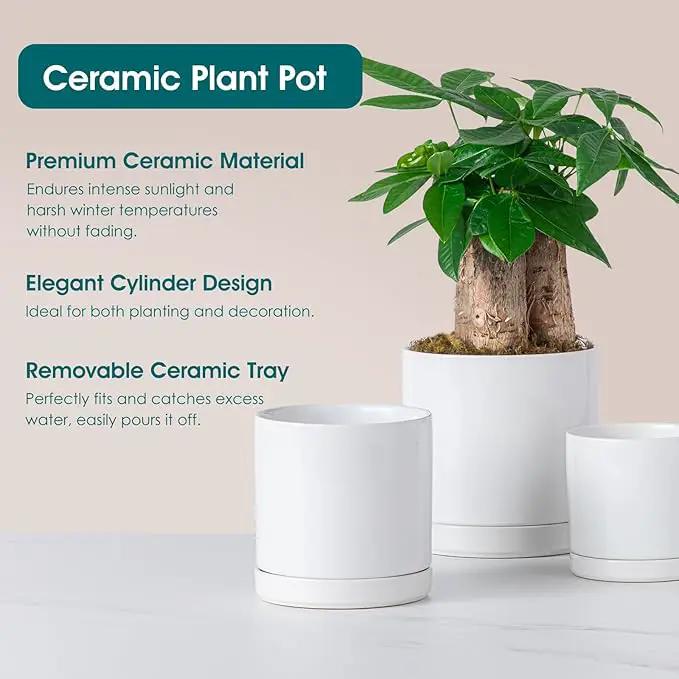 vancasso Ceramic Plant Pots, 3 Piece Planters for Indoor Plants, 4.25+5.25+6.25 Inch Flower Pots with Drainage, Plant Pots Indoor for Succulent, Pothos, Snake Plant and Money Tree, Etc (White) by GreenHaven Gardens