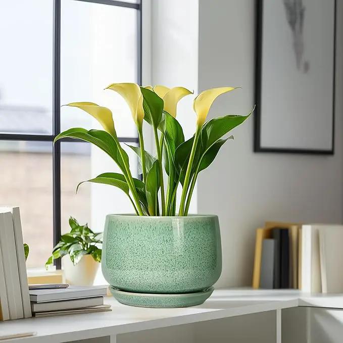 G EPGardening Ceramic Planter - 9 Inch Plant Pot with Drainage Hole and Saucer, Modern Round Planter, Flower Pot for Indoor Outdoor Plants, Garen House Room Decor, Housewarming Gifts, Green by GreenHaven Gardens