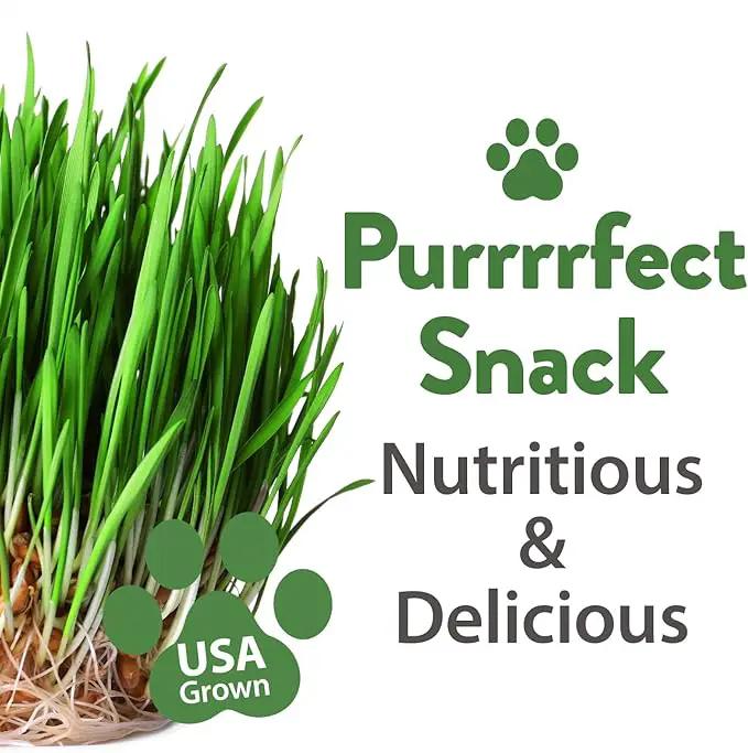 HOME GROWN 3 Cat Grass Seed Mix – Non-GMO Heirloom Oat, Alfalfa & Cat Grass Seeds | Indoor Pet Grass for Cats | High-Germination Greens for Hairball Control, Digestion, and Chewing Enrichment by GreenHaven Gardens