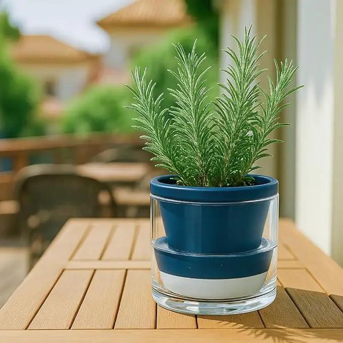 D'vine Dev 6 Inch Design Self Watering Planter for Indoor Plants, Blue Terracotta Pot with Cylinder Glass Cup, 37-X-B-4 by GreenHaven Gardens