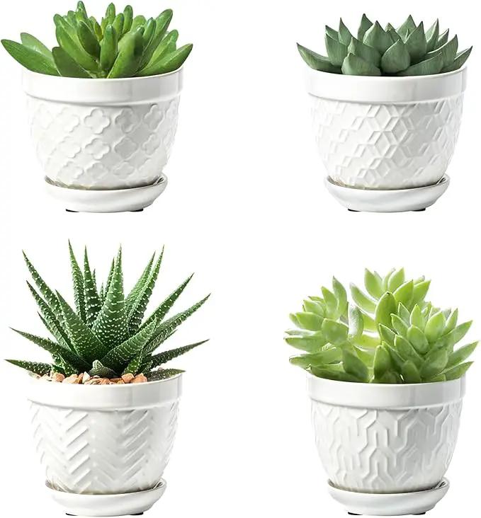 Sureasy Succulent Pots, 3.5 Inch Flower Pots for Indoor Plants, Small Plant Pots with Saucer & Drainage, Decorative Ceramic Planters for Succulent, Cactus, Set of 4, White by GreenHaven Gardens