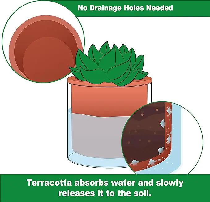 Phoenix Vine 4 Inch 6 Inch Self Watering Plants Pots, Design Terracotta Pots for Plants, Indoor Cylinder Terra Cotta Planter with Glass Vase Set, 51-A-G-46 by GreenHaven Gardens