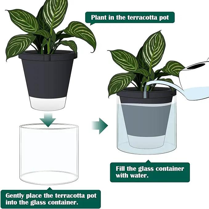 D'vine Dev 10 Inch Design Self Watering Planter for Indoor Plants, Black Terracotta Pot with Cylinder Glass Cup, 37-X-D-3 by GreenHaven Gardens