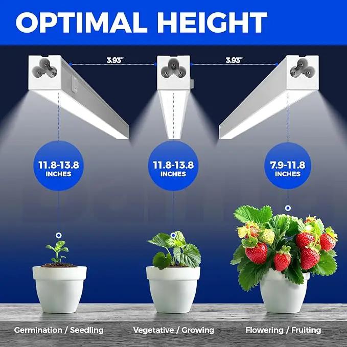 Barrina Grow Lights for Indoor Plants, 5000K White Full Spectrum Grow Light, 1ft Plant Growing Lamp, T5 Grow Light Strip, Plug and Play, 4-Pack by GreenHaven Gardens
