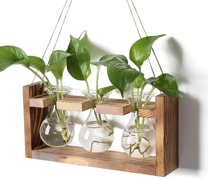 Plant Propagation Station Plant Terrarium Unique Birthday Gifts for Women Plant Lovers Home Office Decor Planter with Wooden Stand - 3 Bulb Glass Vase by GreenHaven Gardens