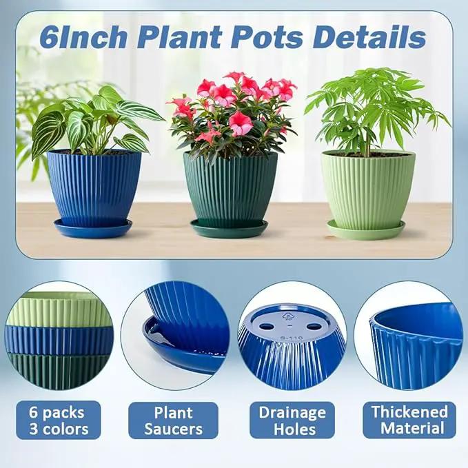 6 Pack Plant Pots with Drainage Holes and Saucers 6 Inch Plastic Planter with 3 Colors Indoor and Outdoor Flower Pots by GreenHaven Gardens