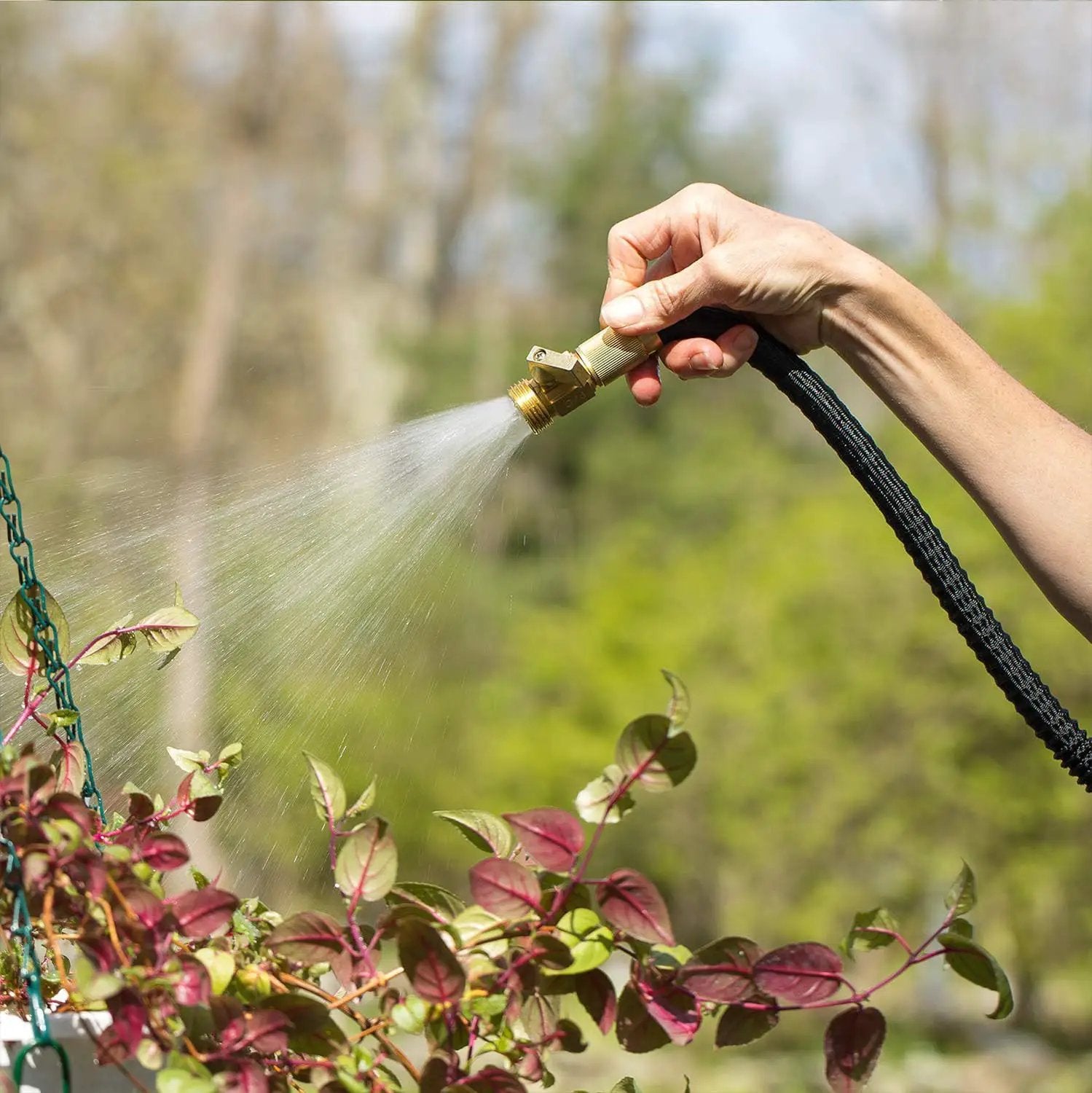 Flexi Hose Lightweight Expandable Garden Hose, No-Kink Flexibility, 3/4 Inch Solid Brass Fittings and Double Latex Core (75 FT, Black) by GreenHaven Gardens