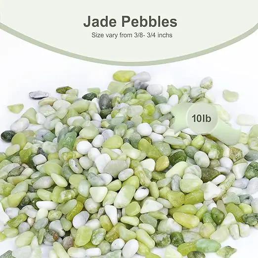 10 lbs Jade Pebbles for Indoor Plants, Decorative Pebbles for Bamboo, Vase, 3/8" Plant Gravel for Pots Indoor, Highly Polished Small River Rocks by GreenHaven Gardens