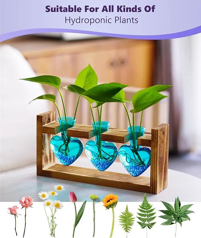 Nacome Plant Terrarium for Office Decor: Wooden Stand Tabletop Planter 3 Bulb Glass Vase Heart Shaped for Hydroponics Indoor Home - Birthday Gifts for Women Mom Grandma by GreenHaven Gardens