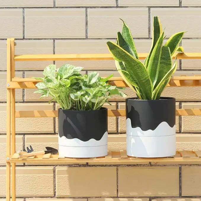 Nihow Ceramic Plant Pot: 6 Inch Planter with Drainage Hole & Saucer for Indoor & Outdoor Plants - Cylinder Round Flower Pot for Succulent/Herbs/Violets - Black & Wave White by GreenHaven Gardens